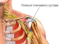 суглоба