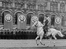 Чому Сталін у 1948-му році заборонив приймати паради на конях білої масті чому