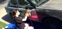 Фарбування своїми руками руками