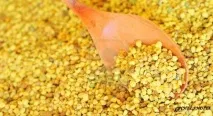 Користь бджолиного пилку для жінок бджолиного
