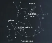 полярна