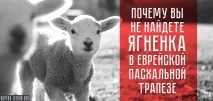 Причина, через яку ви не знайдете ягняти в єврейській великодній трапезі знайдете