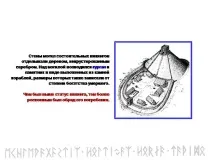 Презентація на тему - Вікінги - з історії для 5 класу класу