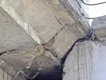 причини