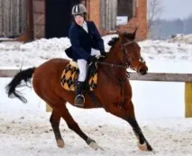 Присвоєння спортивних розрядів - МАОУДО - ДЮСШ - Вихор розрядів