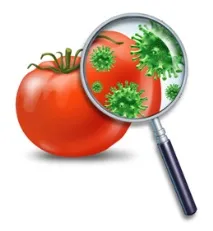 Продукти харчування та інфекційні захворювання - Установа охорони здоров’я - Гродненська обласна продукти