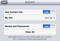 Робота з онлайн-формами в Safari на iPad, CataMobile safari