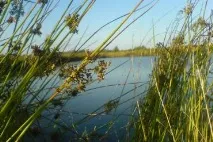 Санаторії Житомирської області ціни на 2019 рік з лікуванням, офіційний сайт Курорт Експерт житомирської