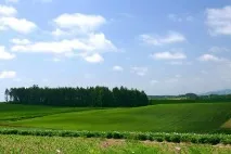 Санаторії Житомирської області ціни на 2019 рік з лікуванням, офіційний сайт Курорт Експерт лікуванням