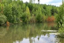 Санаторії Житомирської області ціни на 2019 рік з лікуванням, офіційний сайт Курорт Експерт лікуванням