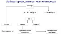 Симптоми та лікування зниженої функції щитовидної залози залози