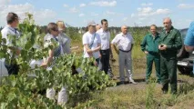 Силікатні озера хочуть оточити – зеленим щитом оточити