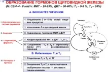 Симптоми та лікування зниженої функції щитовидної залози лікування