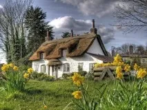 Солом’яний дах – плюси та мінуси плюси