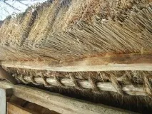 Солом’яний дах – плюси та мінуси мінуси