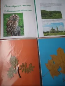 Створення куточка з краєзнавства «Джерельце» виховання