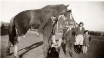 Старі фотографії коней старі