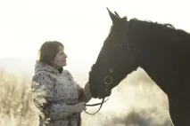 Старі фотографії коней фотографії