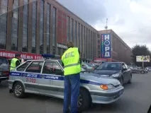 Стажер ДІБДР із Візиром дібдр