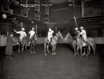 Старі фотографії коней коней
