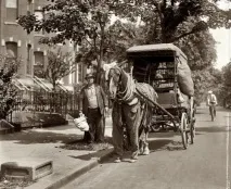 Старі фотографії коней фотографії