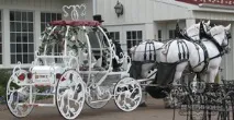 Весілля у стилі Попелюшка Попелюшки