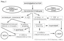 вазодилататори