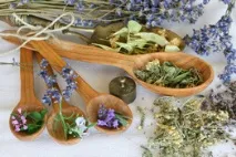 Трави корисні властивості та вплив на шкіру обличчя корисні