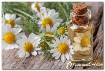 Трави корисні властивості та вплив на шкіру обличчя корисні