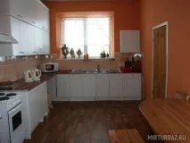 мишкина