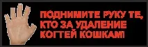 Чи видаляти кігті кішці може