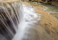 категорія