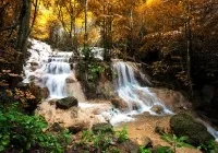 фотошпалери