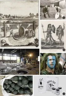 барвник