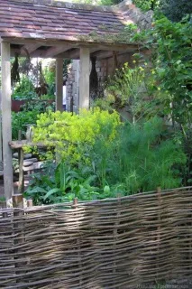 красильна