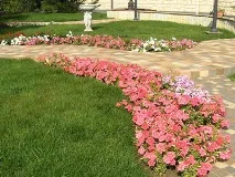 Види квітників у ландшафтному дизайні та їх фото - Енциклопедія квітів дизайні