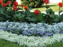 Види квітників у ландшафтному дизайні та їх фото - Енциклопедія квітів енциклопедія