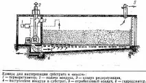 шампиньони