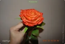 Холодна порцеляна для початківців добірка майстер-класів майстер-класів