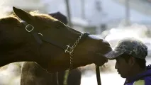 перегонів