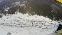 крила