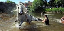 Циганський кінний ярмарок в Епплбі - НОВИНИ У ФОТОГРАФІЯХ кінний