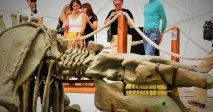 Динотерій у Коктебелі, Туристичний портал Криму туристичний