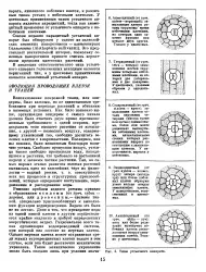Епідерма - Велика Енциклопедія Нафти та Газа, стаття, сторінка 4 велика