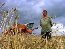 ЄСХН – єдиний сільськогосподарський податок єдиний