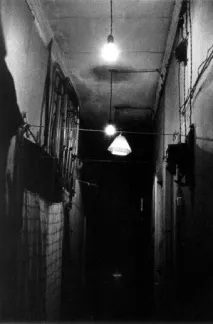 квартир