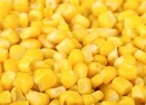 Виготовлення та продаж вареної кукурудзи - бізнес ідея, вкладення від 79000 руб вареної