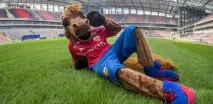 клубів