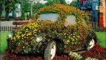 Клумби та квітники своїми руками з підручних матеріалів. руками