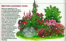 Клумби та квітники своїми руками з підручних матеріалів. клумби
